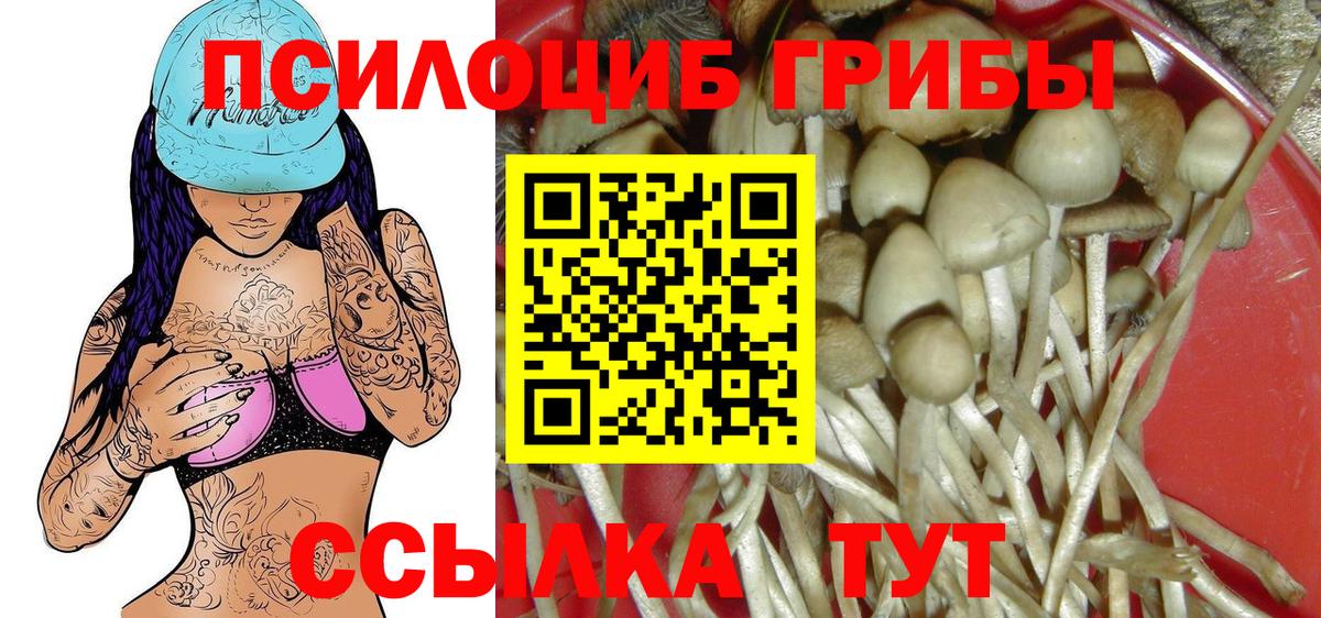 Галлюциногенные грибы ЛСД Сокол