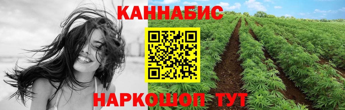 Каннабис марихуана Сокол